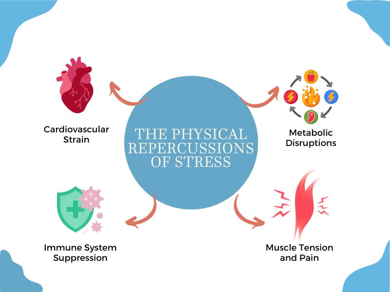 The Physical Repercussions of Stress